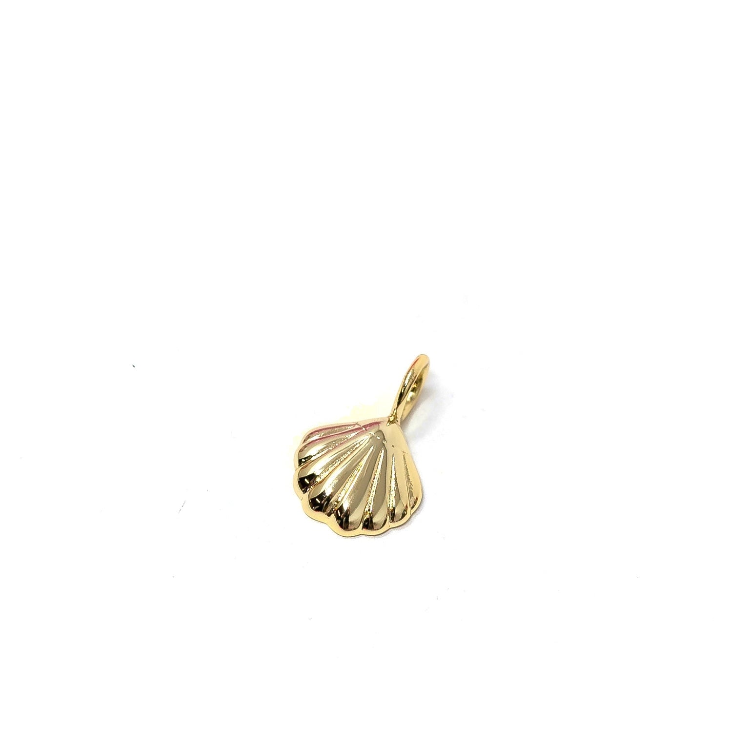 Seashell charm